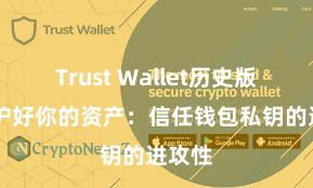 Trust Wallet历史版本 保护好你的资产：信任钱包私钥的进攻性