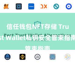 信任钱包NFT存储 Trust Wallet私钥安全管束指南