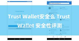 Trust Wallet安全么 Trust Wallet 安全性评测