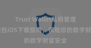 Trust Wallet私钥管理 信任钱包iOS下载指南，保险您的数字财富安全